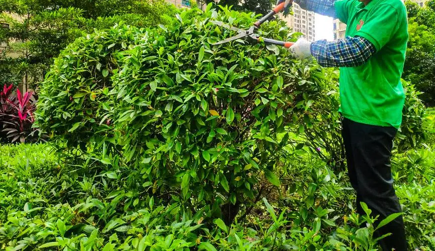 别墅设计园林景观设计