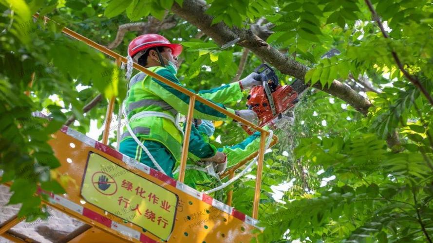 松江区景观绿化工程方案